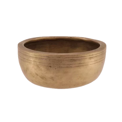 Thadobati Cup
